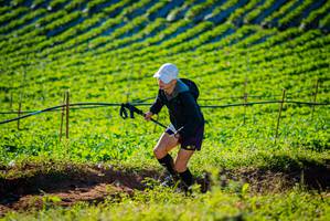 BIB: 
                            <button type="button" onclick="openModal(19160290)" class="btn btn-primary btn-sm float-right btn-popup" data-toggle="modal" data-target=".modal-high-quality">
                        <i class="fas fa-shopping-cart"></i> Add to Cart
                    </button>
                                            <button type="button" onclick="isThisMe(19160290, true)" class="btn btn-success btn-sm float-right btn-popup btn-isme hidden" data-toggle="tooltip" data-placement="bottom" title="นี่คือรูปของคุณใช่ไหม คลิกที่นี่เพื่อเอาเข้าอัลบั้ม">
                        <i class="fas fa-plus"></i> Add to album
                    </button>
                    <button type="button" onclick="isThisMe(19160290, false)" class="btn btn-warning btn-sm float-right btn-popup btn-isnotme hidden">
                        <i class="fas fa-ban"></i> Remove from album
                    </button>